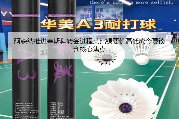 阿森纳推进塞斯科转会进程莱比锡要价高低成今夏谈判核心焦点